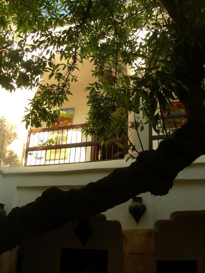 Riad Aldiana Marakeş Dış mekan fotoğraf